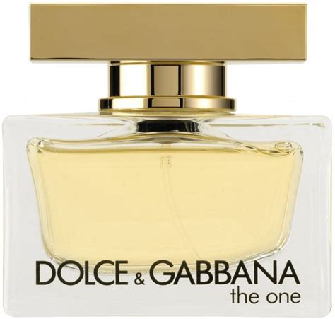 the one dolce gabbana eau de toilette|dolce gabbana the one 100ml.